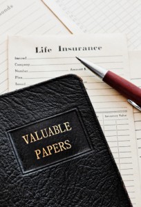 Term life insurance papers - Michigan